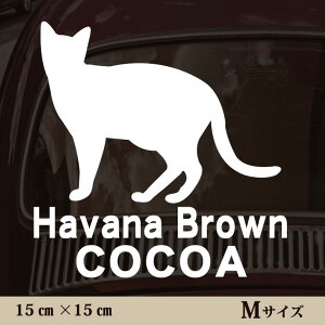  XebJ[ y noiuE zMTCY ybg J[ ybgXebJ[ 킢 Vv JbeBOV[g ObY O  I[_[ O V[  ]ʎ L