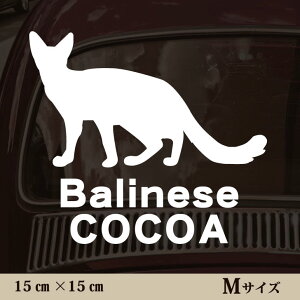  XebJ[ y oj[Y zMTCY ybg J[ ybgXebJ[ 킢 Vv JbeBOV[g ObY O  I[_[ O V[  ]ʎ L