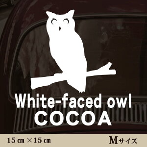 y }\ P5{ z XebJ[ y AtJIIRmnYN zMTCY ybg J[ ybgXebJ[ 킢 Vv JbeBOV[g ObY O  I[_[ O V[