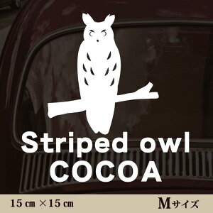 y }\ P5{ z XebJ[ y ETMtNE zMTCY ybg J[ ybgXebJ[ 킢 Vv JbeBOV[g ObY O  I[_[ O V[  