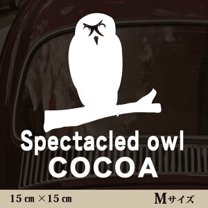 y }\ P5{ z XebJ[ y KltNE zMTCY ybg J[ ybgXebJ[ 킢 Vv JbeBOV[g ObY O  I[_[ O V[  