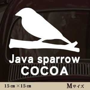  XebJ[ y  zMTCY ybg J[ ybgXebJ[ 킢 Vv JbeBOV[g ObY O  I[_[ O V[  ]ʎ 