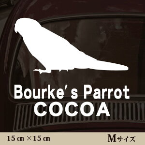  XebJ[ y ALNTCR zMTCY ybg J[ ybgXebJ[ 킢 Vv JbeBOV[g ObY O  I[_[ O V[  ]ʎ 