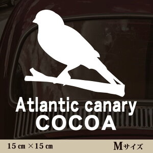  XebJ[ y JiA zMTCY ybg J[ ybgXebJ[ 킢 Vv JbeBOV[g ObY O  I[_[ O V[  ]ʎ 