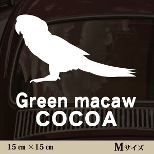 y }\ P5{ z XebJ[ y ~hRSECR zMTCY ybg J[ ybgXebJ[ 킢 Vv JbeBOV[g ObY O  I[_[ O V[ 