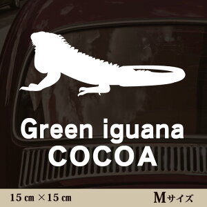 y BLACK FRIDAY P5{ z  XebJ[ y O[COAi zMTCY ybg J[ ybgXebJ[ 킢 Vv JbeBOV[g ObY O  I[_[ O V[ 