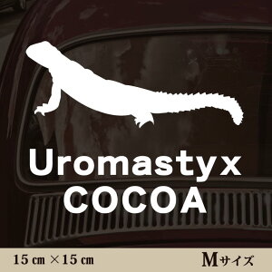  XebJ[ y gQIAK} zMTCY ybg J[ ybgXebJ[ 킢 Vv JbeBOV[g ObY O  I[_[ O V[  ]ʎ gJQ