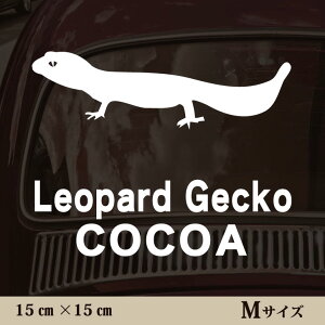  XebJ[ y Ip[hQbR[ zMTCY ybg J[ ybgXebJ[ 킢 Vv JbeBOV[g ObY O  I[_[ O V[  ]ʎ gJQ