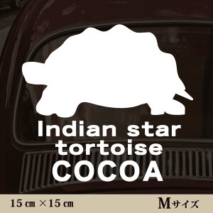  XebJ[ y ChzVK zMTCY ybg J[ ybgXebJ[ 킢 Vv JbeBOV[g ObY O  I[_[ O V[  ]ʎ J