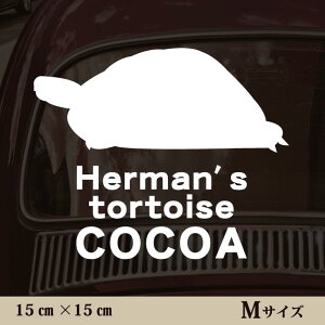  XebJ[ y w}NK zMTCY ybg J[ ybgXebJ[ 킢 Vv JbeBOV[g ObY O  I[_[ O V[  ]ʎ J