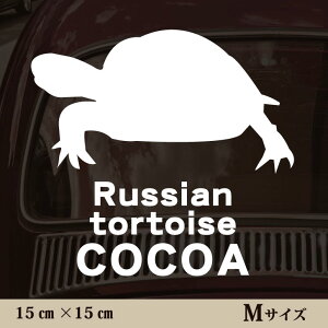  XebJ[ y VANK zMTCY ybg J[ ybgXebJ[ 킢 Vv JbeBOV[g ObY O  I[_[ O V[  ]ʎ J