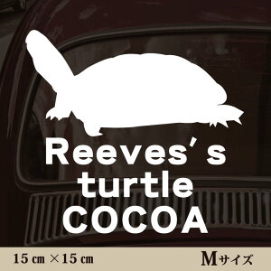 y }\ P5{ z XebJ[ y NTK zMTCY ybg J[ ybgXebJ[ 킢 Vv JbeBOV[g ObY O  I[_[ O V[  ]ʎ 