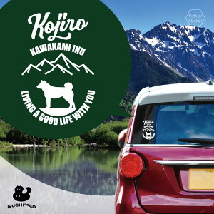 y BLACK FRIDAY P5{ z fUC J[XebJ[ y ㌢ z  XebJ[ V[ ybg v[g LO 蕨 JbeBOV[g I[_[Ch A KX   V