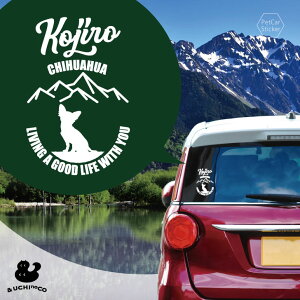 fUC J[XebJ[ y `ij z  XebJ[ V[ ybg v[g LO 蕨 JbeBOV[g I[_[Ch A KX   Vv 