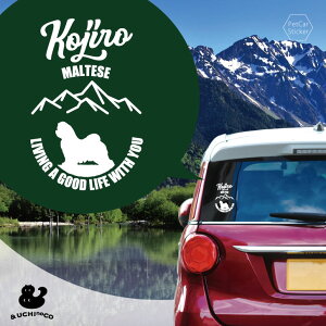 y }\ P5{ z fUC J[XebJ[ y }`[Y z  XebJ[ V[ ybg v[g LO 蕨 JbeBOV[g I[_[Ch A KX  