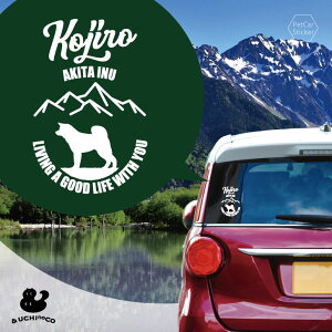 fUC J[XebJ[ y Hc z  XebJ[ V[ ybg v[g LO 蕨 JbeBOV[g I[_[Ch A KX   Vv 킢 hb