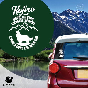 fUC J[XebJ[ y LoAELOE`[YEXpjG z  XebJ[ V[ ybg v[g LO 蕨 JbeBOV[g I[_[Ch A KX 