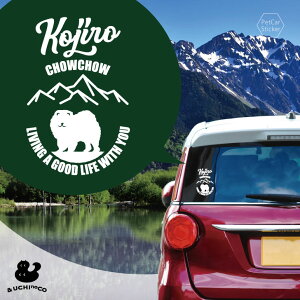 y }\ P5{ z fUC J[XebJ[ y `E`E z  XebJ[ V[ ybg v[g LO 蕨 JbeBOV[g I[_[Ch A KX  