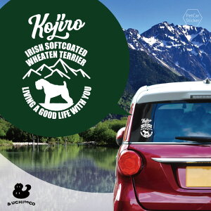 y BLACK FRIDAY P5{ z fUC J[XebJ[ y ACbVE\tgR[ebhEEB[gEeA z  XebJ[ V[ ybg v[g LO 蕨 JbeBOV[g I[