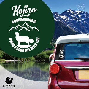 y BLACK FRIDAY P5{ z fUC J[XebJ[ y R[CPzfBG z  XebJ[ V[ ybg v[g LO 蕨 JbeBOV[g I[_[Ch A KX 