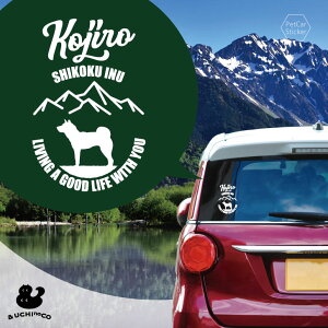 y BLACK FRIDAY P5{ z fUC J[XebJ[ y l z  XebJ[ V[ ybg v[g LO 蕨 JbeBOV[g I[_[Ch A KX   V