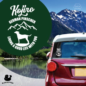 fUC J[XebJ[ y W[}EsV[ z  XebJ[ V[ ybg v[g LO 蕨 JbeBOV[g I[_[Ch A KX   Vv