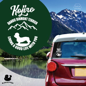 fUC J[XebJ[ y _fBEfBgEeA z  XebJ[ V[ ybg v[g LO 蕨 JbeBOV[g I[_[Ch A KX  