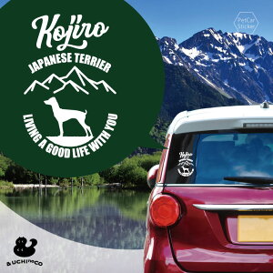 y BLACK FRIDAY P5{ z fUC J[XebJ[ y {eA z  XebJ[ V[ ybg v[g LO 蕨 JbeBOV[g I[_[Ch A KX  