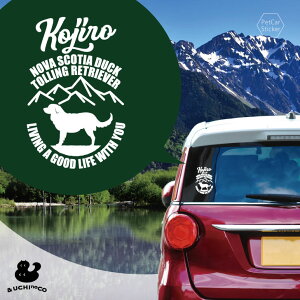 y BLACK FRIDAY P5{ z fUC J[XebJ[ y m@EXRVAE_bNEg[OEg[o[ z  XebJ[ V[ ybg v[g LO 蕨 JbeBOV[g I[