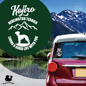 y BLACK FRIDAY P5{ z fUC J[XebJ[ y xhgEeA z  XebJ[ V[ ybg v[g LO 蕨 JbeBOV[g I[_[Ch A KX 