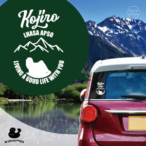 y }\ P5{ z fUC J[XebJ[ y TEAv\ z  XebJ[ V[ ybg v[g LO 蕨 JbeBOV[g I[_[Ch A KX  