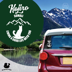 y X[p[SALEԒ P10{ z fUC J[XebJ[ y \} z  XebJ[ V[ ybg v[g LO 蕨 JbeBOV[g I[_[Ch A KX  