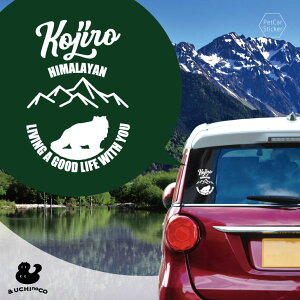 y X[p[SALEԒ P10{ z fUC J[XebJ[ y q} z  XebJ[ V[ ybg v[g LO 蕨 JbeBOV[g I[_[Ch A KX  