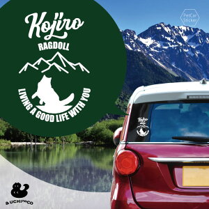 fUC J[XebJ[ y Oh[ z  XebJ[ V[ ybg v[g LO 蕨 JbeBOV[g I[_[Ch A KX   Vv 킢 