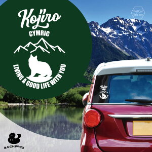 y X[p[SALEԒ P10{ z fUC J[XebJ[ y LbN z  XebJ[ V[ ybg v[g LO 蕨 JbeBOV[g I[_[Ch A KX  