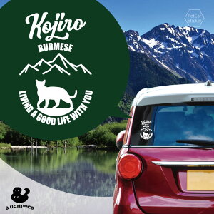 fUC J[XebJ[ y o[~[Y z  XebJ[ V[ ybg v[g LO 蕨 JbeBOV[g I[_[Ch A KX   Vv 킢 