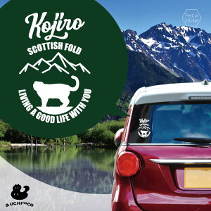 fUC J[XebJ[ y XReBbVtH[h2 z  XebJ[ V[ ybg v[g LO 蕨 JbeBOV[g I[_[Ch A KX   V