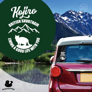 fUC J[XebJ[ y ueBbVV[gwA2 z  XebJ[ V[ ybg v[g LO 蕨 JbeBOV[g I[_[Ch A KX   V