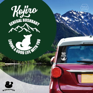 y BLACK FRIDAY P5{ z fUC J[XebJ[ y VEKS z  XebJ[ V[ ybg v[g LO 蕨 JbeBOV[g I[_[Ch A KX  