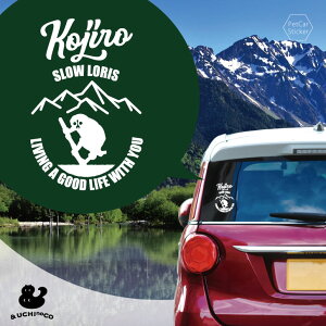 y BLACK FRIDAY P5{ z fUC J[XebJ[ y X[X z  XebJ[ V[ ybg v[g LO 蕨 JbeBOV[g I[_[Ch A KX  