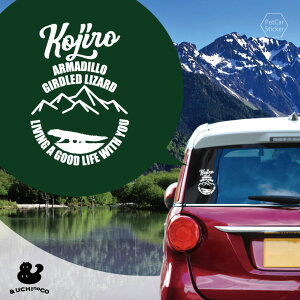 y X[p[SALEԒ P10{ z fUC J[XebJ[ y A}WgJQ z  XebJ[ V[ ybg v[g LO 蕨 JbeBOV[g I[_[Ch A KX 