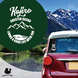 y X[p[SALEԒ P10{ z fUC J[XebJ[ y NXebhQbR[ z  XebJ[ V[ ybg v[g LO 蕨 JbeBOV[g I[_[Ch A KX 