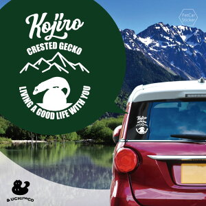 y X[p[SALEԒ P10{ z fUC J[XebJ[ y NXebhQbR[2 z  XebJ[ V[ ybg v[g LO 蕨 JbeBOV[g I[_[Ch A KX 