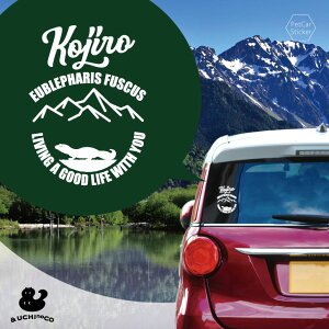 y X[p[SALEԒ P10{ z fUC J[XebJ[ y _CIEgJQhL z  XebJ[ V[ ybg v[g LO 蕨 JbeBOV[g I[_[Ch A KX 