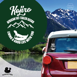 fUC J[XebJ[ y jVAtJgJQhL z  XebJ[ V[ ybg v[g LO 蕨 JbeBOV[g I[_[Ch A KX   V