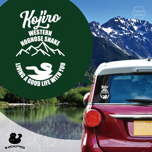 y X[p[SALEԒ P10{ z fUC J[XebJ[ y ZCuVVniwr z  XebJ[ V[ ybg v[g LO 蕨 JbeBOV[g I[_[Ch A KX 