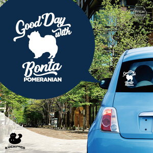 y }\ P5{ z fUC J[XebJ[ y |jA z  XebJ[ V[ ybg v[g LO 蕨 JbeBOV[g I[_[Ch A KX  