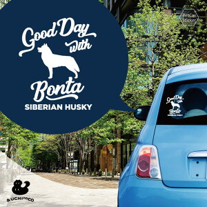 y BLACK FRIDAY P5{ z fUC J[XebJ[ y VxAEnXL[ z  XebJ[ V[ ybg v[g LO 蕨 JbeBOV[g I[_[Ch A KX 