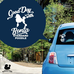 y BLACK FRIDAY P5{ z fUC J[XebJ[ y X^_[hEv[hiR`l^Nbvj z  XebJ[ V[ ybg v[g LO 蕨 JbeBOV[g I[_