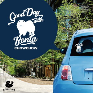 y BLACK FRIDAY P5{ z fUC J[XebJ[ y `E`E z  XebJ[ V[ ybg v[g LO 蕨 JbeBOV[g I[_[Ch A KX  